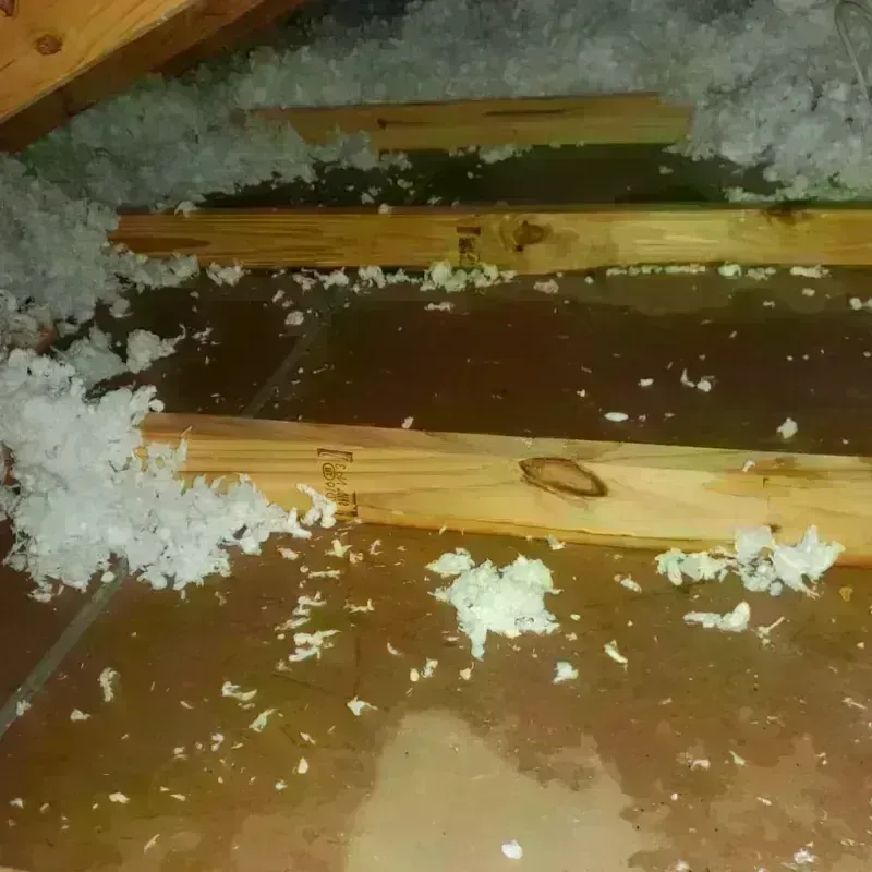 Attic Water Damage in Tumwater, WA