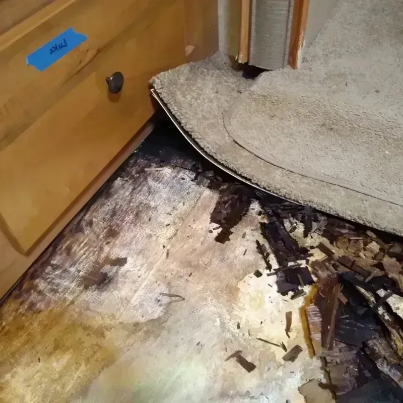 Wood Floor Water Damage in Tumwater, WA